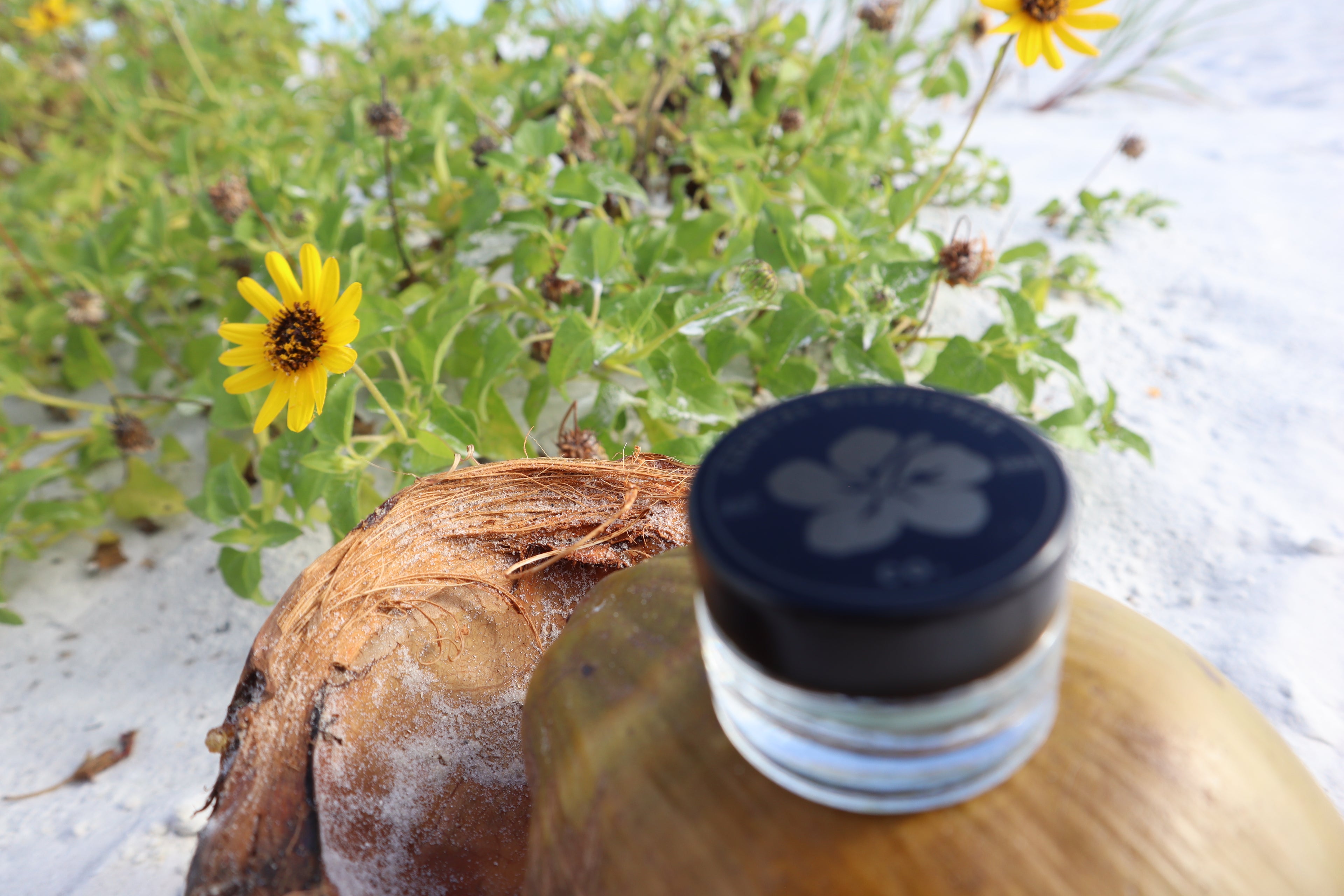 Eyeshadow l Loose Minerals l Hand Mixed l Small Batch l Colors From Earth l Natural Makeup | Clean Beauty | Made in (Florida) Sea Glass
