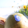 Dolphin Coastal Boho Sea Glass Necklace l Laser Engraved